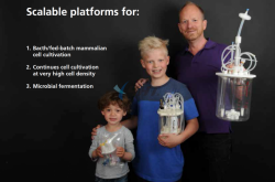 Customizable Single-use Bioreactor